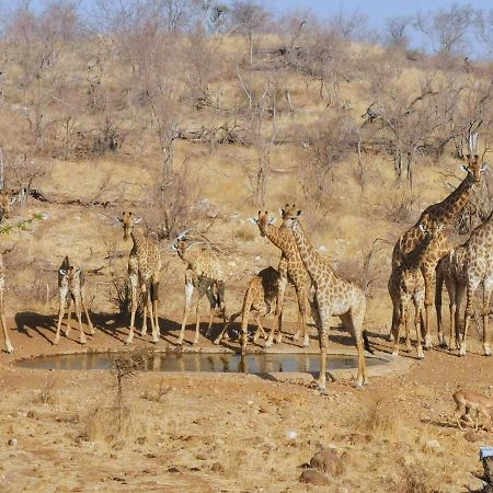 Grietjie Game Reserve Mbizi Bush Lodge מראה חיצוני תמונה