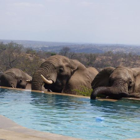 Grietjie Game Reserve Mbizi Bush Lodge מראה חיצוני תמונה
