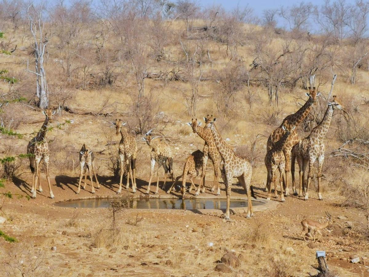 Grietjie Game Reserve Mbizi Bush Lodge מראה חיצוני תמונה