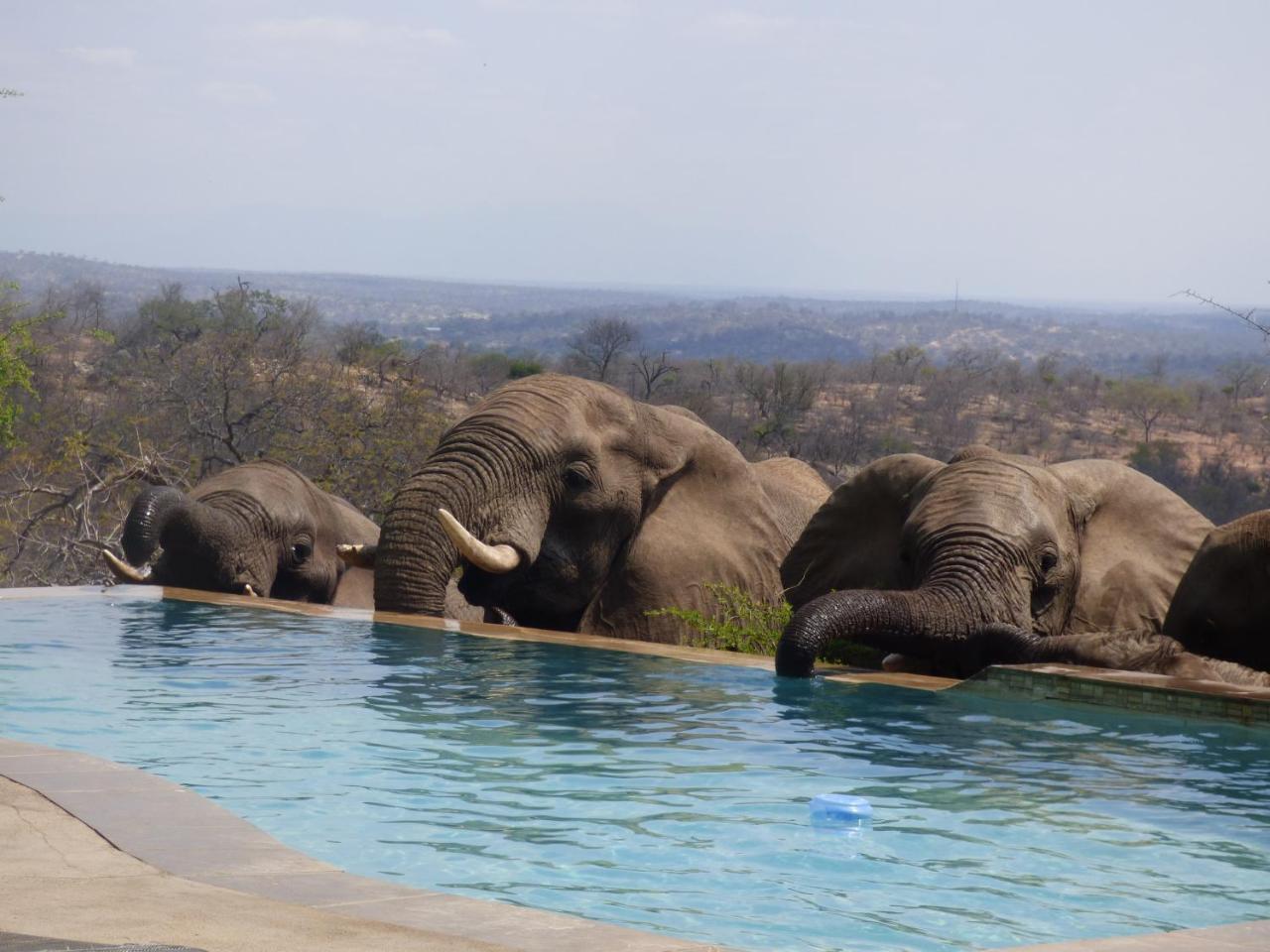 Grietjie Game Reserve Mbizi Bush Lodge מראה חיצוני תמונה