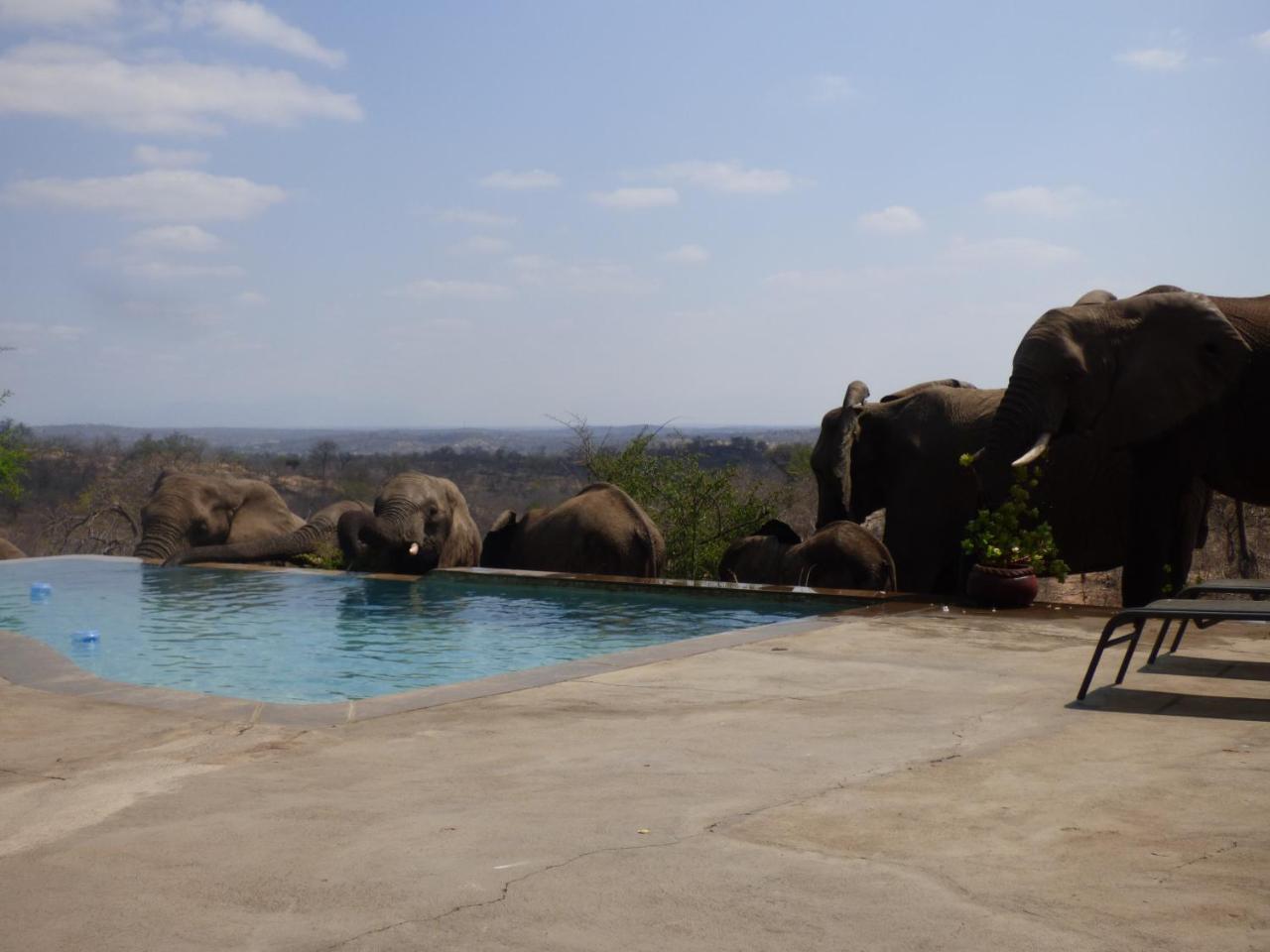 Grietjie Game Reserve Mbizi Bush Lodge מראה חיצוני תמונה