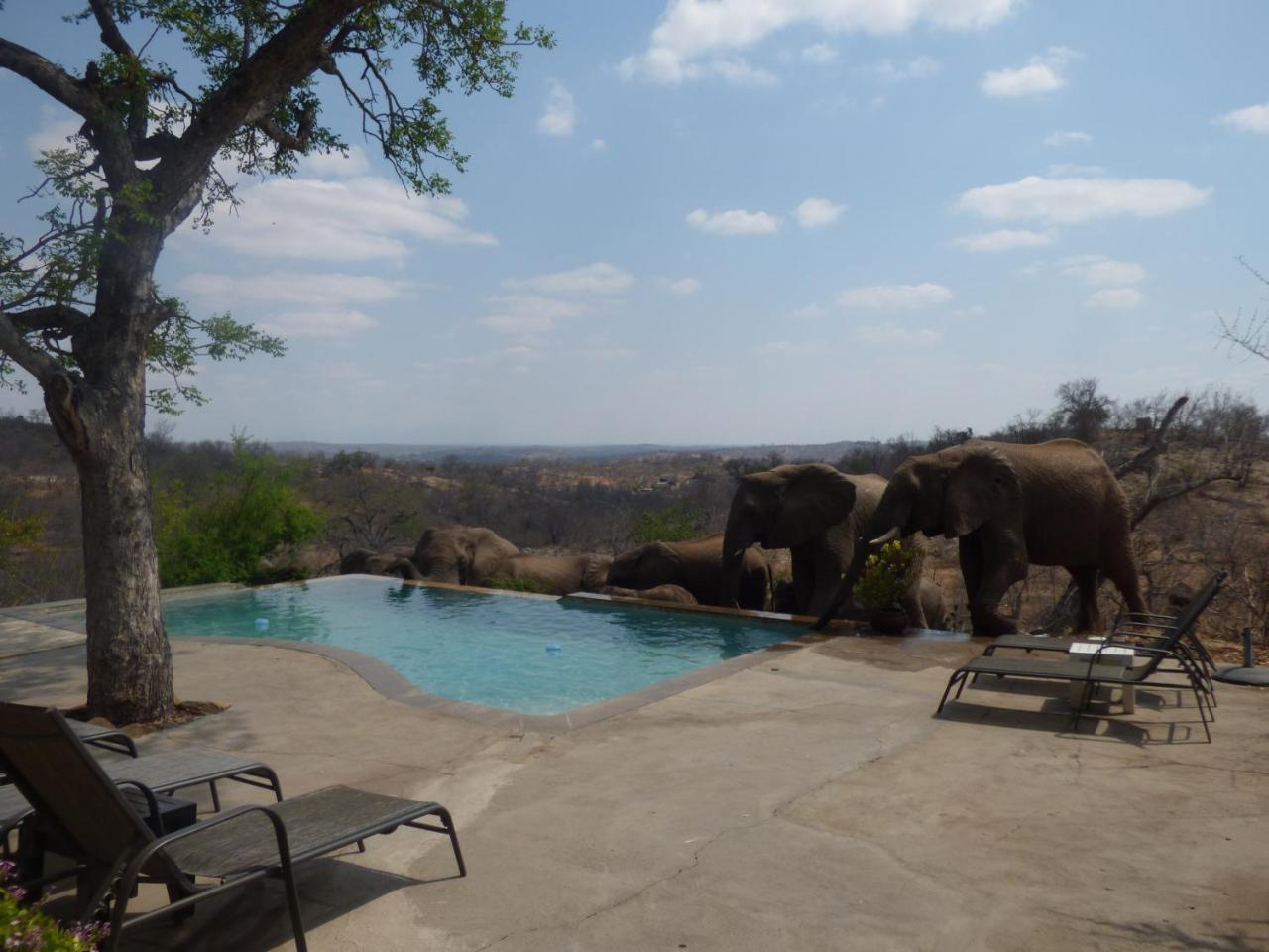 Grietjie Game Reserve Mbizi Bush Lodge מראה חיצוני תמונה