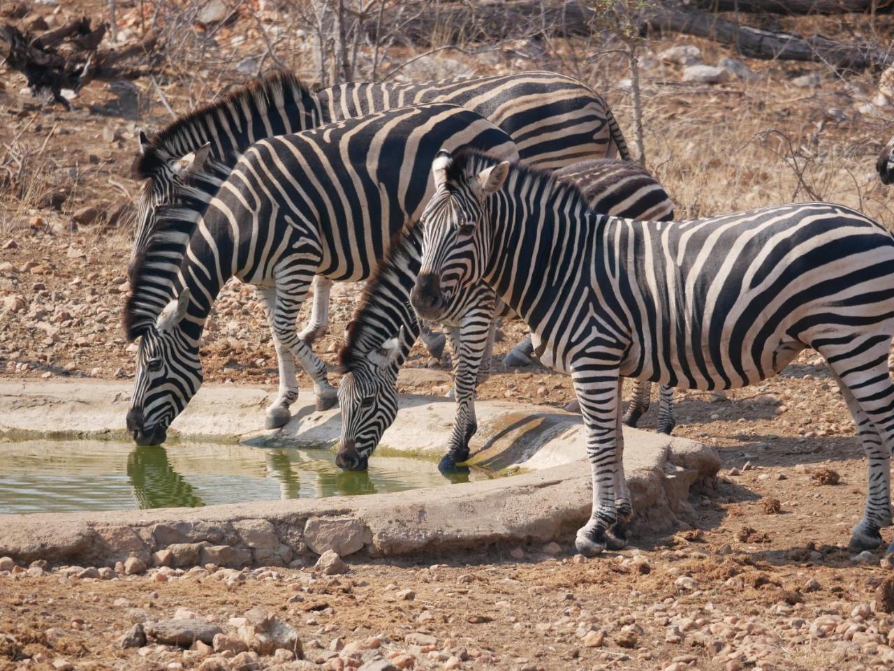 Grietjie Game Reserve Mbizi Bush Lodge מראה חיצוני תמונה