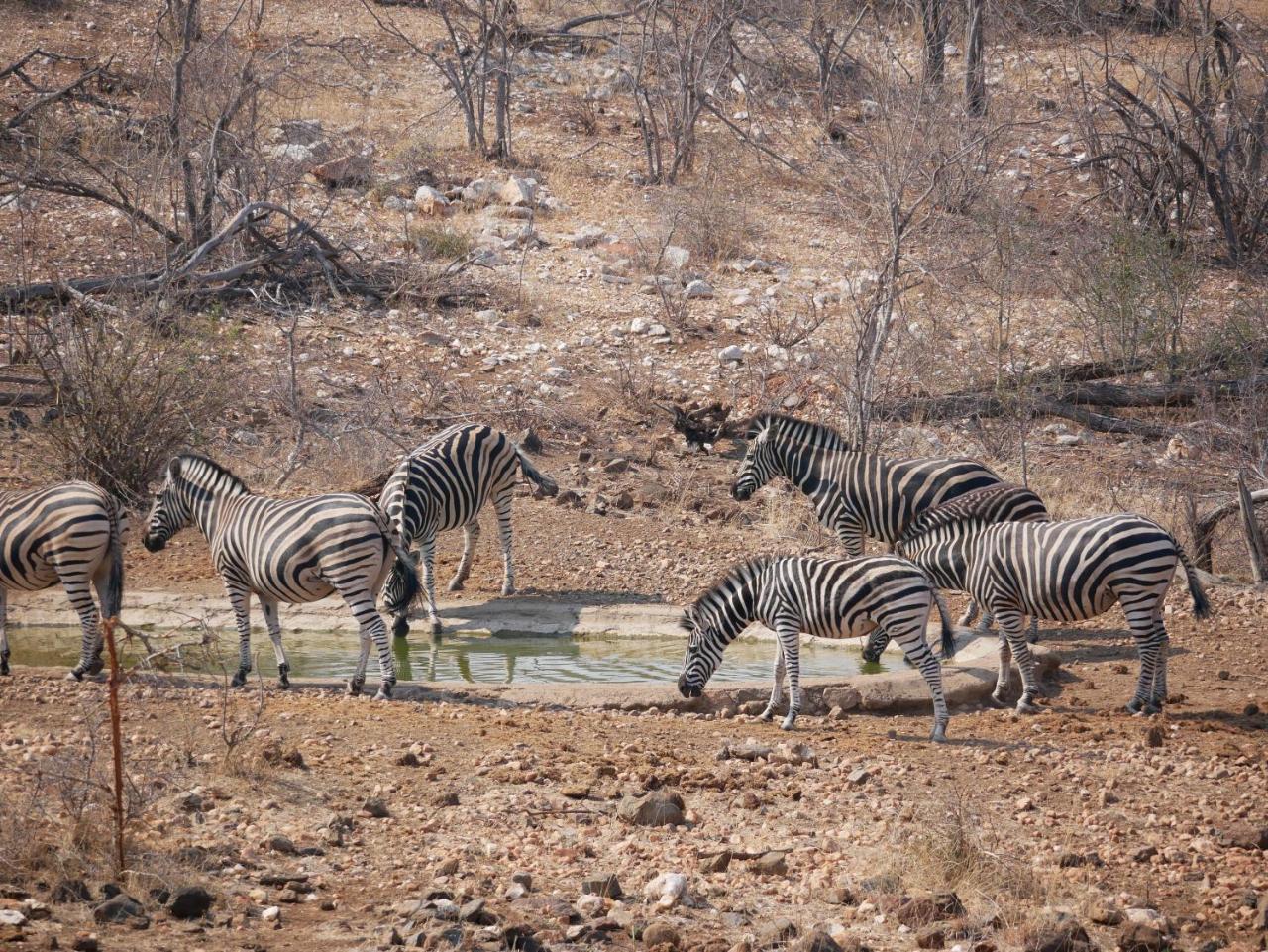 Grietjie Game Reserve Mbizi Bush Lodge מראה חיצוני תמונה
