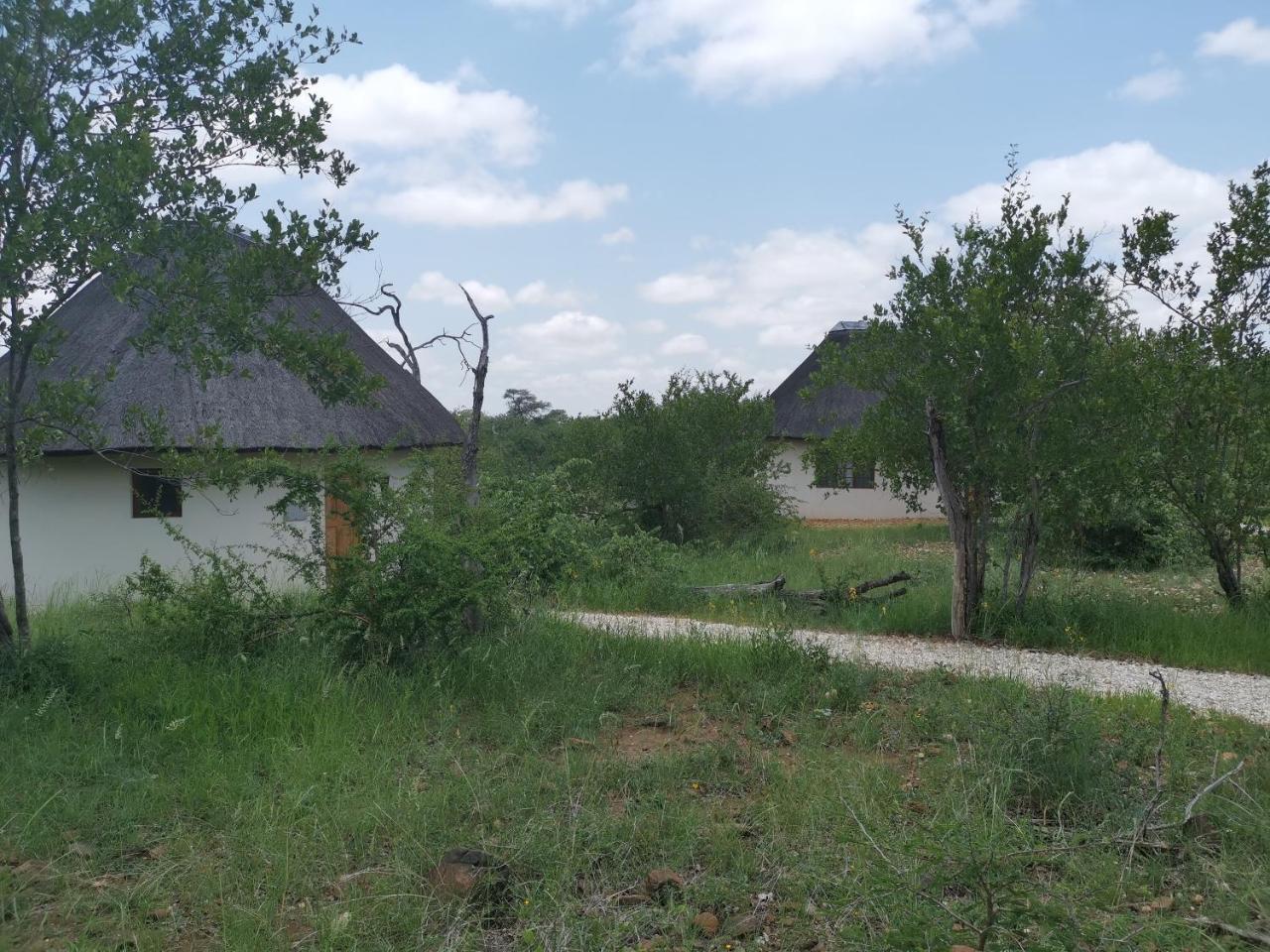 Grietjie Game Reserve Mbizi Bush Lodge מראה חיצוני תמונה