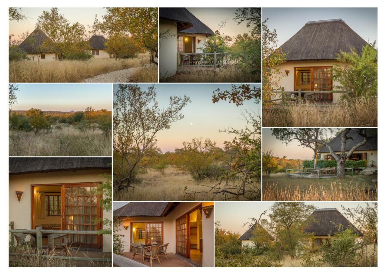 Grietjie Game Reserve Mbizi Bush Lodge מראה חיצוני תמונה